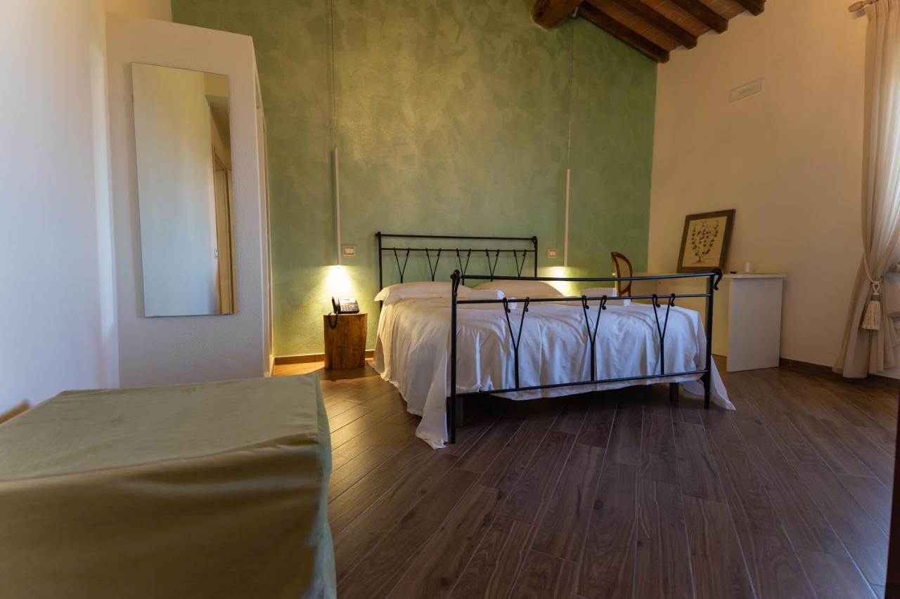 Fattoria L'Olmetto Villa Pisa Exterior photo
